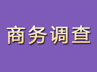 遂平商务调查